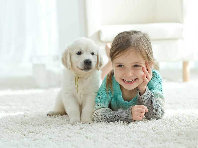 puppy next to child on carpet that was just cleaned with professional stain removal services