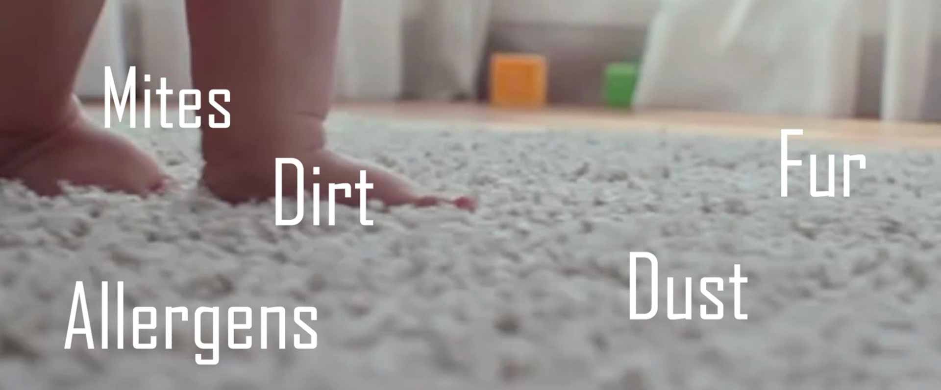 1-800-DRYCARPET Dry Carpet Cleaning Service. Dry Organic Carpet