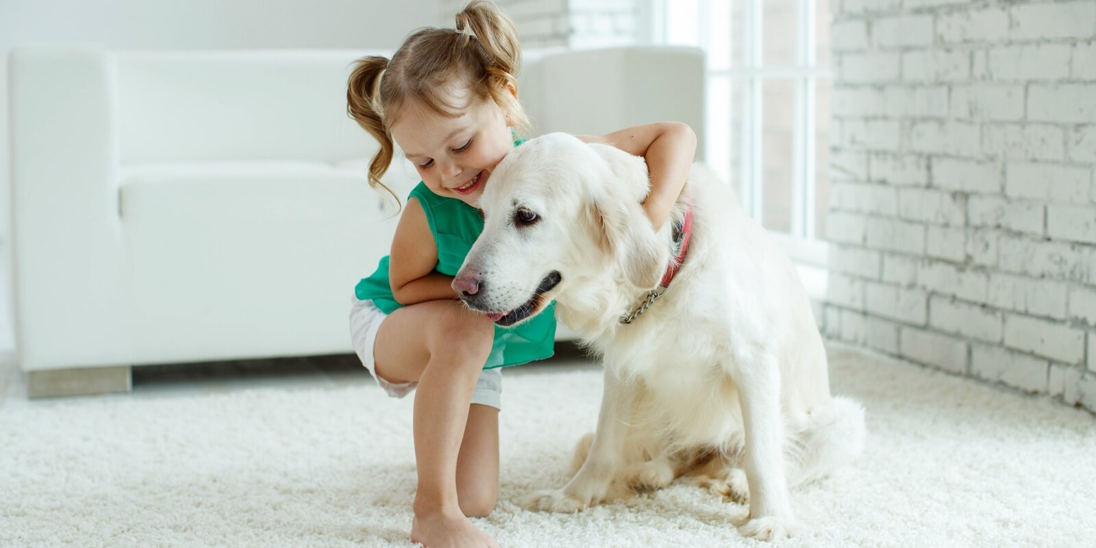Why Pet Owners Should Consider A Professional Carpet Cleaning SafeDry® Carpet Cleaning