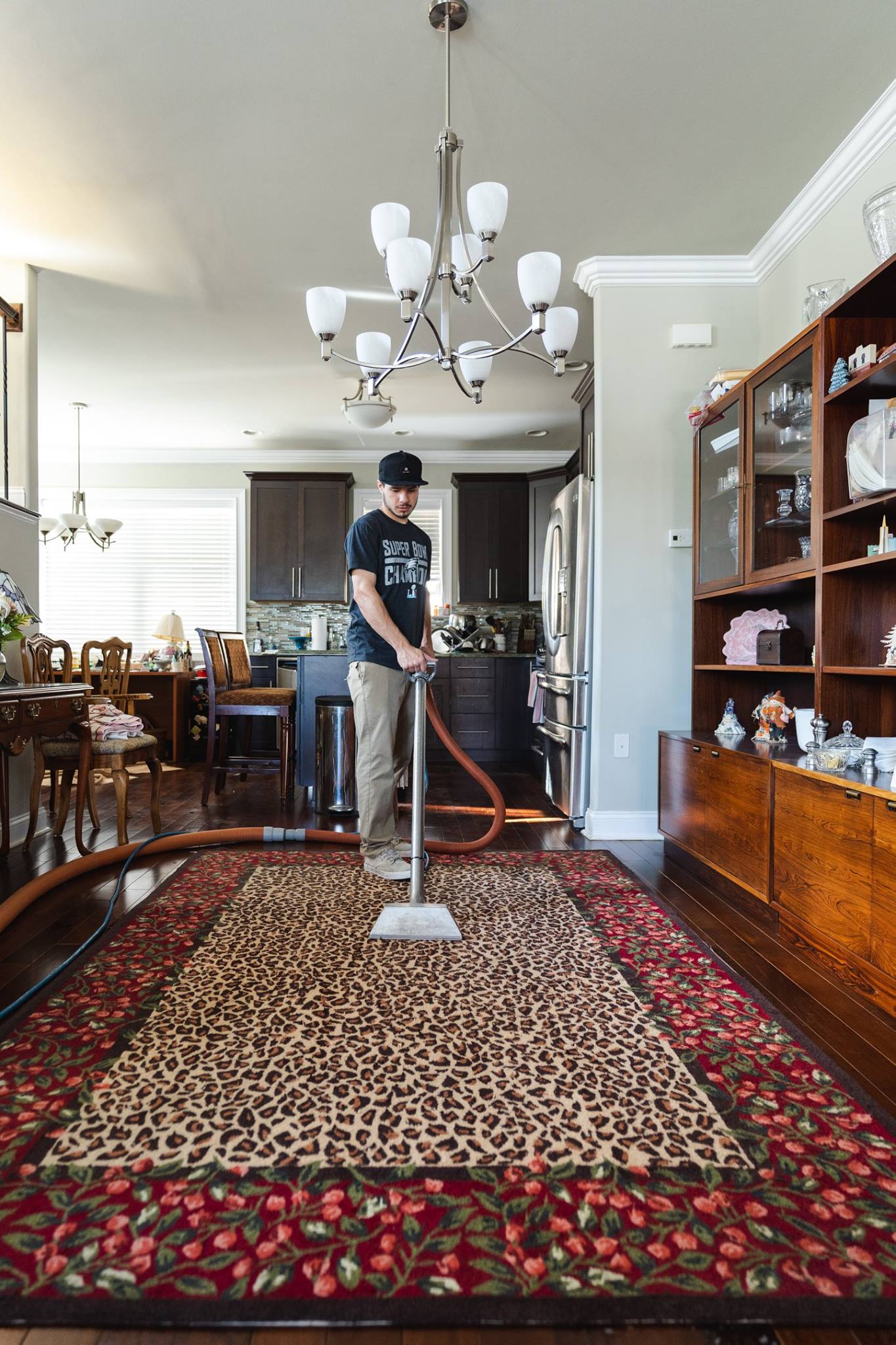 Area Rug Steam Cleaning