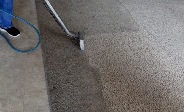 Best Professional Carpet Cleaning Companies